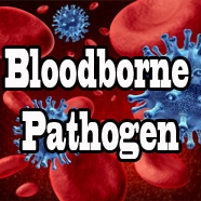 Bloodborne Pathogen Cleanup 