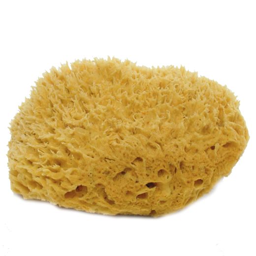 Armaly Brands ProPlus® 7‑8 Natural Sea Wool Sponge
