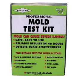 Home Mold Test Kit Vs Professional Mold Testing 