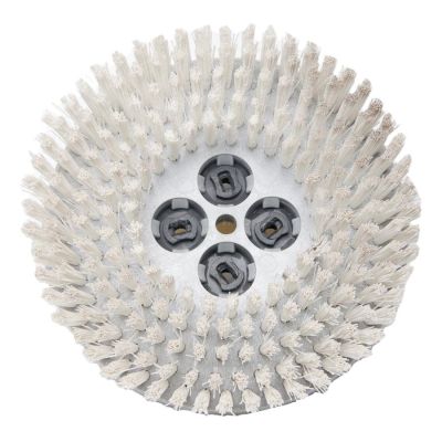 Cimex Stiff White Nylon Brushes, 8 fits 19 Machine (Carpet & Tile  Scrubbing, Set of 3) 4805