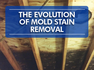 Evolution of Mold Stain Removal: How Restoration Pros are Getting Better Results with Bleach-Based Technology