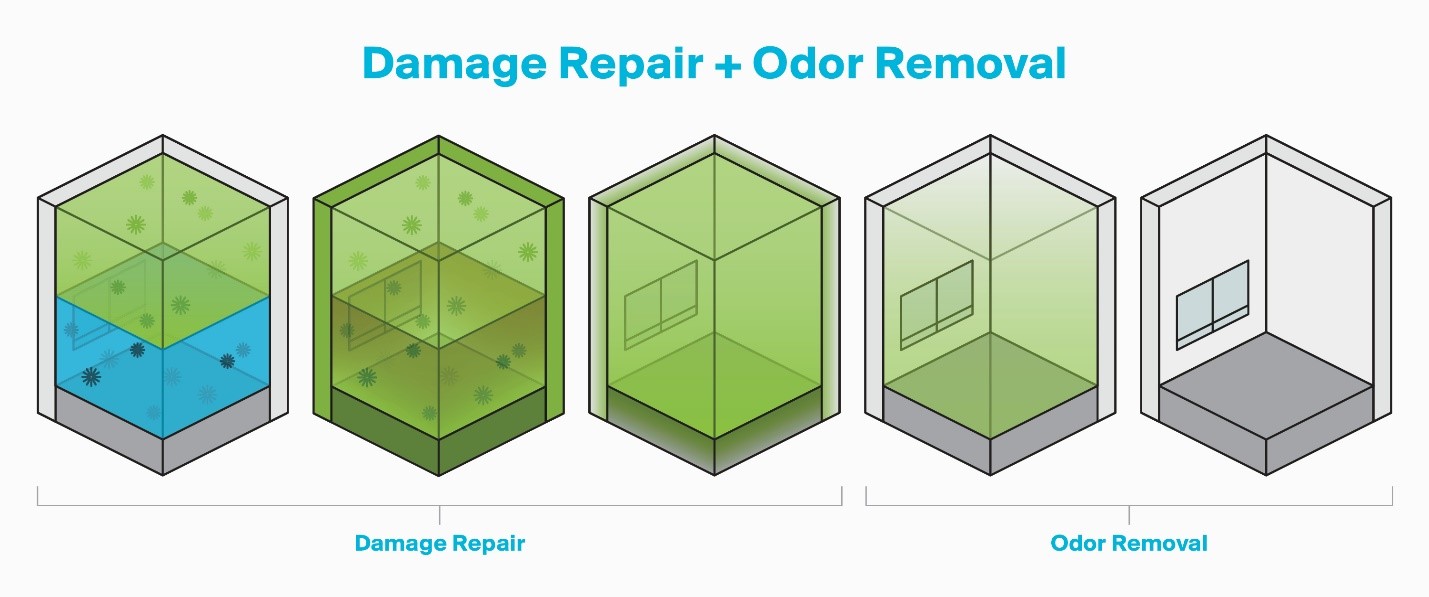 Damage-Repair-Odor-Removal