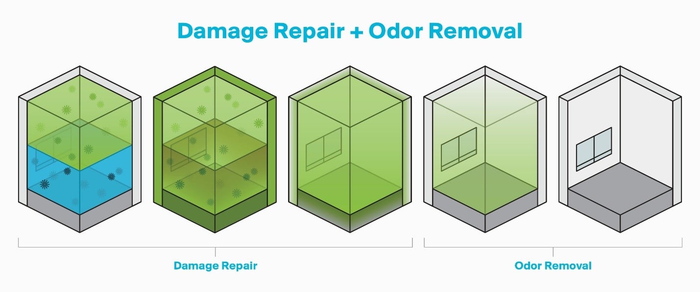 Damage-Repair-Odor-Removal