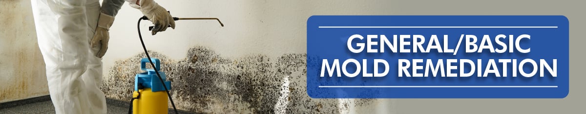 General / Basic Mold Remediation