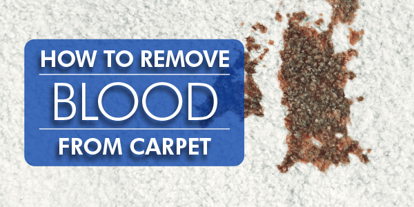 How to Remove Blood from Carpet