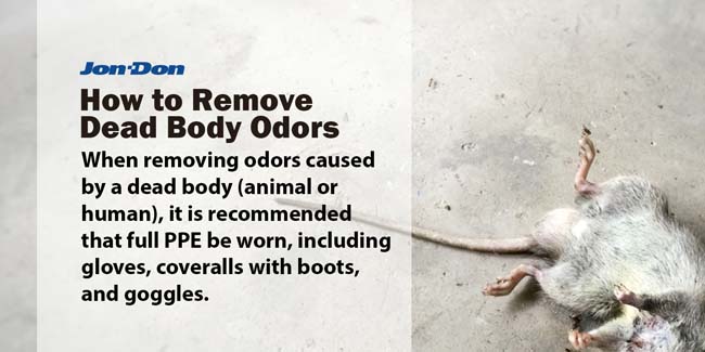 Dead Body/Carcass Odor Removal