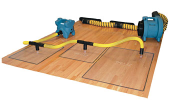 19 Popular Wood floor glue injection kit for Home Decor